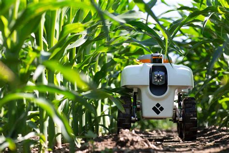 The Magic Touch: King Harvest's Little Bots and Their Impact on Crop Yields
